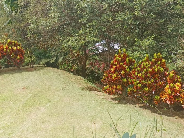 Property in San Miguel de Paramo