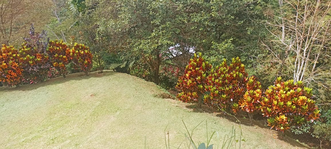 Property in San Miguel de Paramo