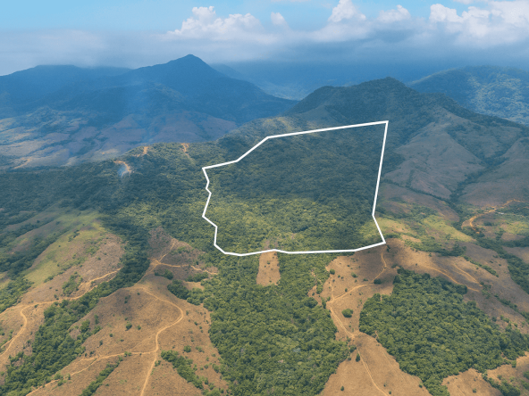 Property in virgin area