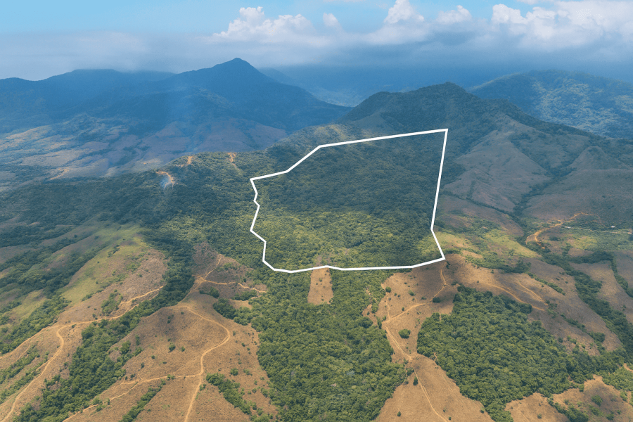 Property in virgin area