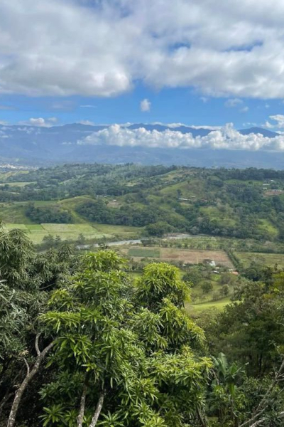 IMG-20250507-WA0012-739x785